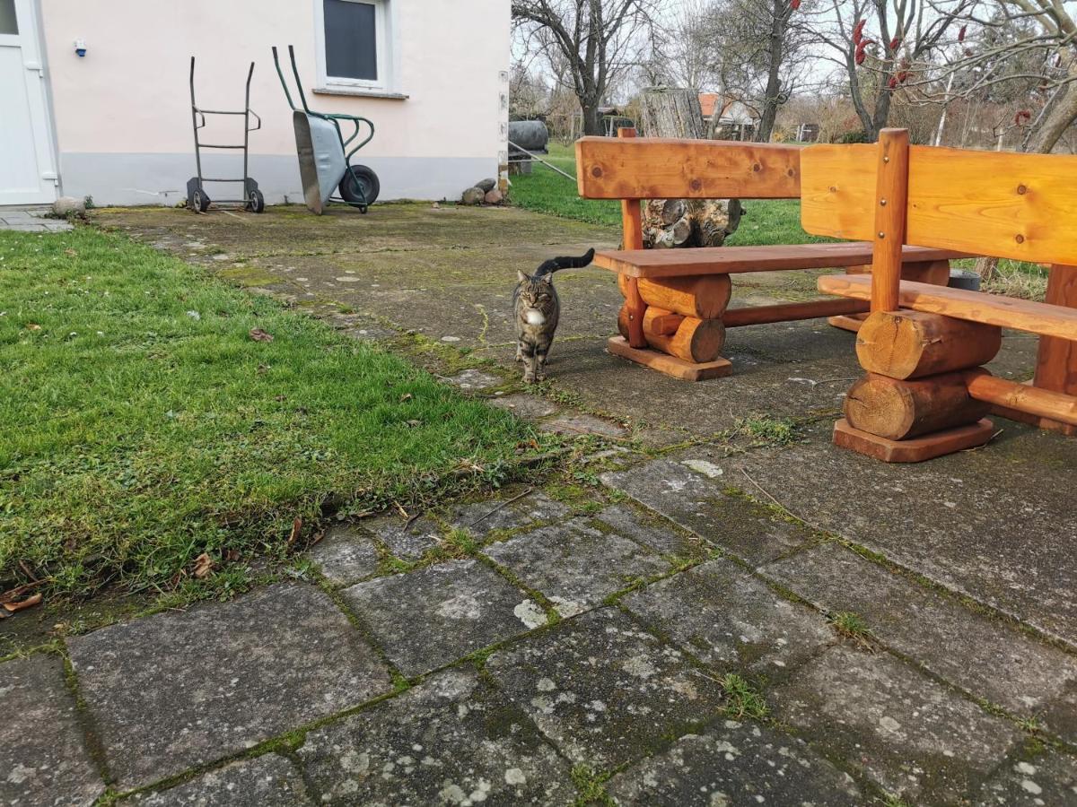 Вілла Wellness Oase Auf Dem Land Buttstadt Екстер'єр фото